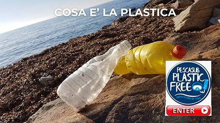 bottone Cosa è la plastica